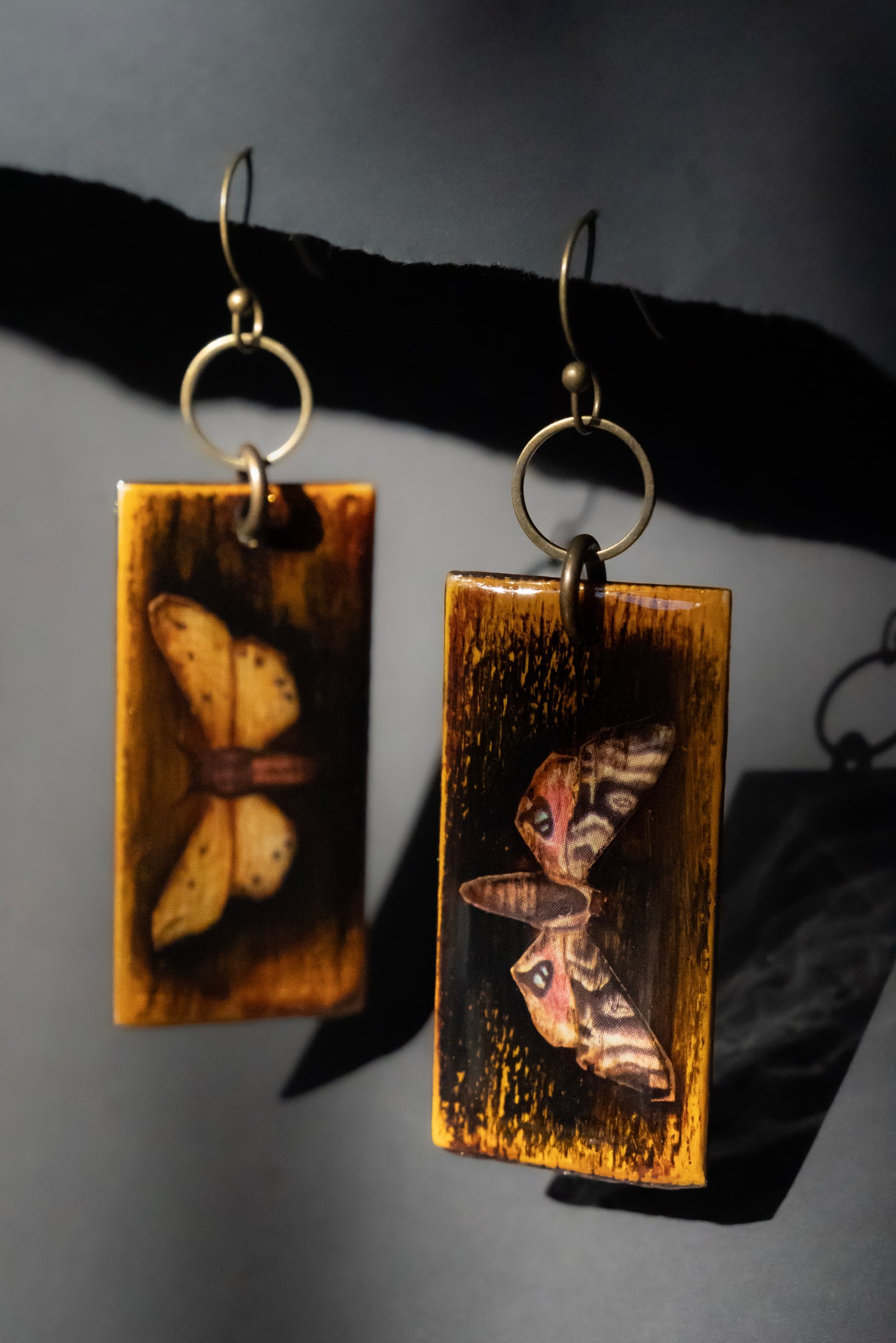 Distressed In Moths