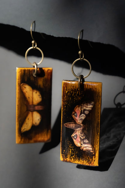 Distressed In Moths