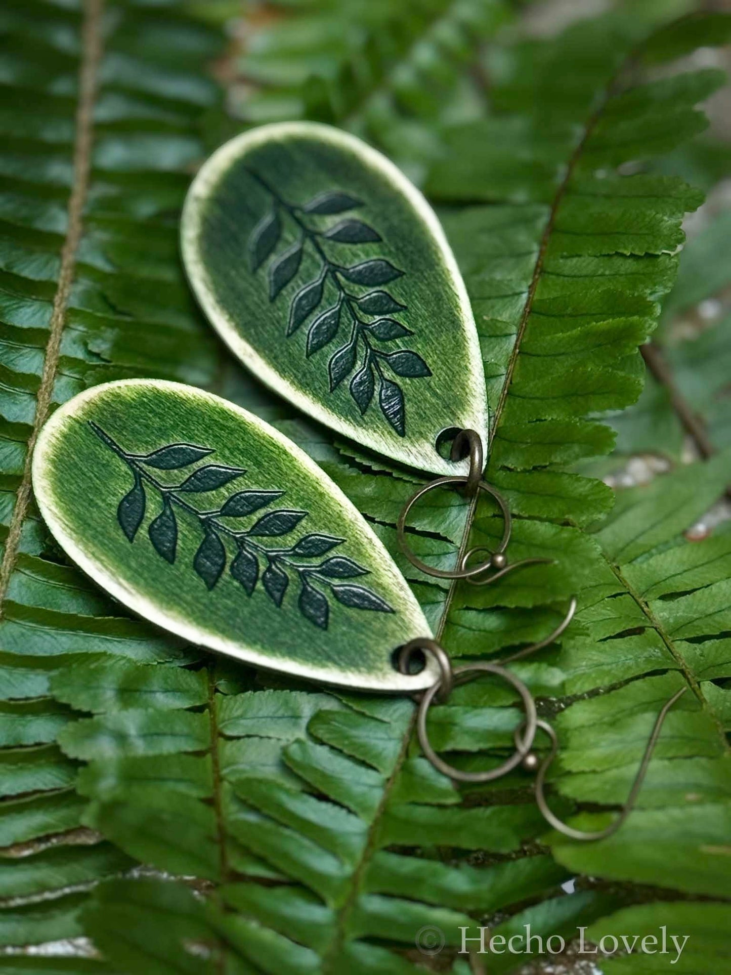 Distressed Fern