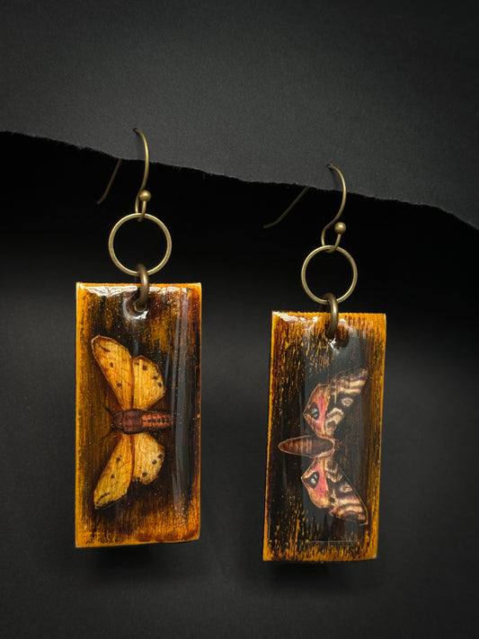 Distressed In Moths