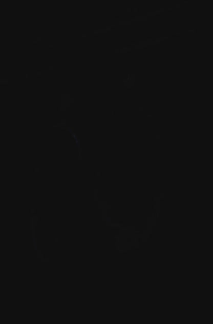 1986~Painters's Denim